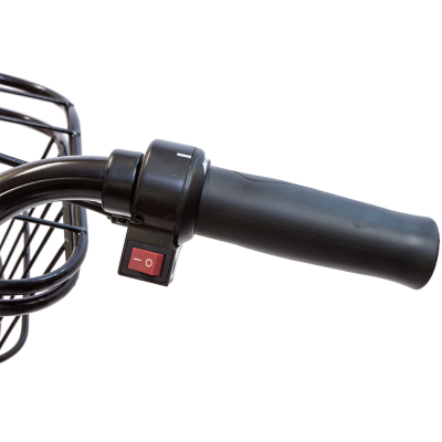 Трехколесный электровелосипед E-motions Kangoo 500W Трехколесный электровелосипед E-motions Kangoo 500W