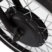 Трехколесный электровелосипед Golden Motors Porter