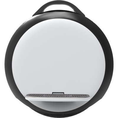 Моноколесо IPS 142 ZERO 260W Моноколесо IPS 142 ZERO 260W