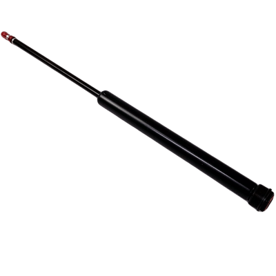 Амортизатор моноколеса Inmotion V11 Амортизатор моноколеса Inmotion V11