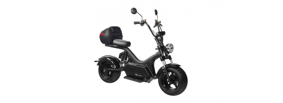 Виды электроскутеров