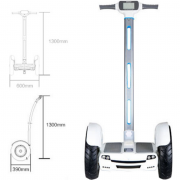 Сегвей GOwheel GOS 20